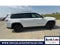 2024 Jeep Grand Cherokee L Laredo / Altitude