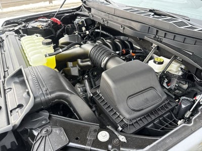 2025 Ford F-150 STX Lobo