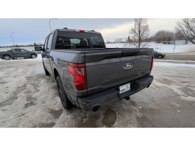 2025 Ford F-150 STX Lobo